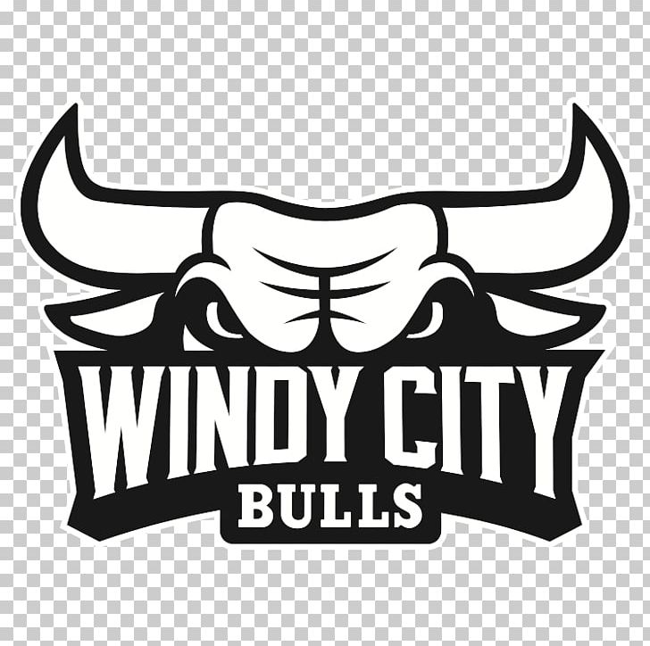 Windy City Bulls NBA Development League Chicago Bulls Canton Charge PNG, Clipart, Basketball, Black, Black And White, Brahman Cattle, Brand Free PNG Download