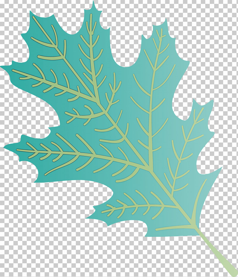 Autumn Leaf Colourful Foliage Colorful Leaves PNG, Clipart, Autumn, Autumn Leaf, Autumn Leaf Color, Biology, Color Free PNG Download