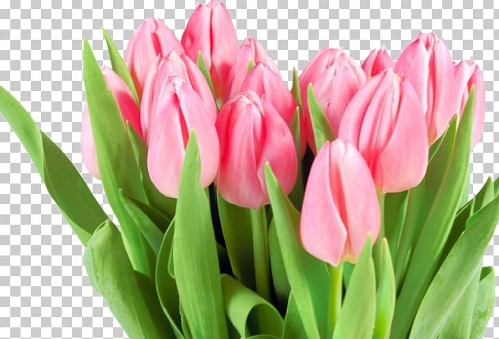 Flower Bouquet International Women's Day Tulip Woman PNG, Clipart, Bud, Child, Cut Flowers, Desktop Wallpaper, Floristry Free PNG Download