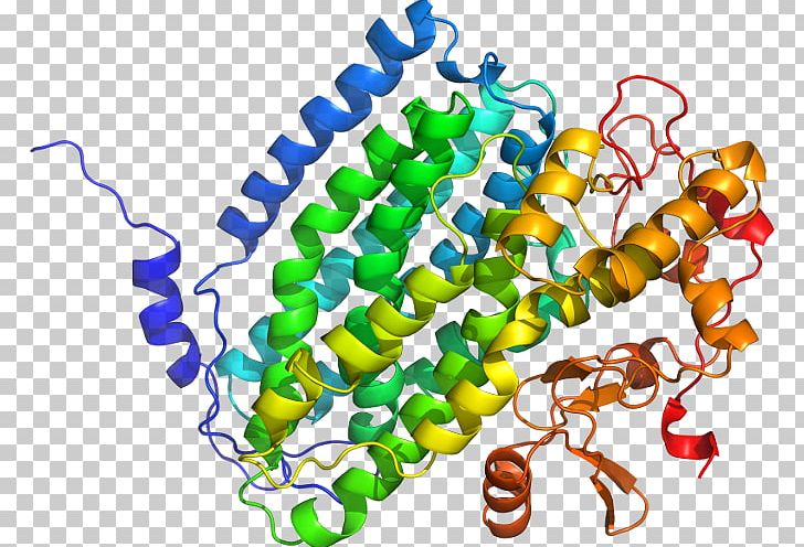 FNTB Farnesyltransferase Gene Protein Subunit Geranylgeranyltransferase Type 1 PNG, Clipart, B 18, Body Jewelry, D 1, Dna, Ensembl Free PNG Download