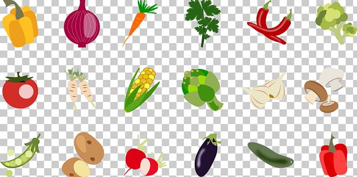 Vegetable Computer Icons Food Artichoke PNG, Clipart, Artichoke, Carrot, Computer Icons, Cucumber, Cucumber Clipart Free PNG Download