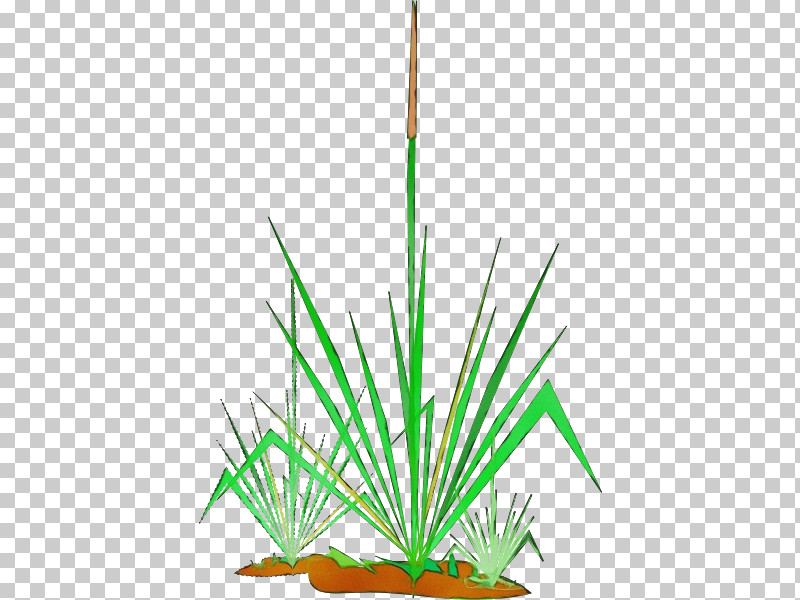 Palm Trees PNG, Clipart, Agave, Amaryllis, Aquarium Decor, Embryophyte, Grasses Free PNG Download