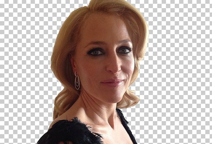 Gillian Anderson Dana Scully Photography PNG, Clipart, Blond, Brown Hair, Chin, Color Motion Picture Film, Dana Scully Free PNG Download
