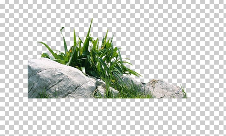 Living Stone PNG, Clipart, Art, Artificial Grass, Cartoon, Computer Wallpaper, Download Free PNG Download