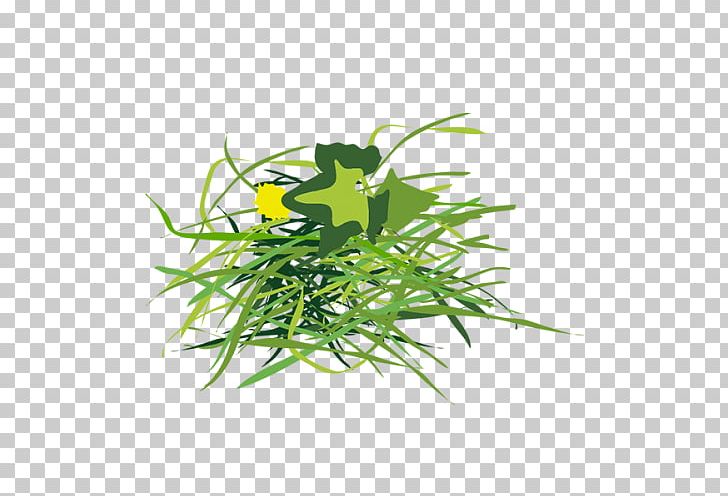 Luxembourg City Garden Asparagus Leaf Vegetable Waste Plant Stem PNG, Clipart, Aquarium Decor, Asparagus, Branch, Flower, Flowerpot Free PNG Download