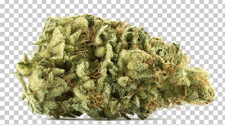 Medical Cannabis Gorilla Glue Kush Cannabis Sativa PNG, Clipart, Anxiety Disorder, Body Ache, Cannabis, Cannabis Sativa, Cannabis Shop Free PNG Download