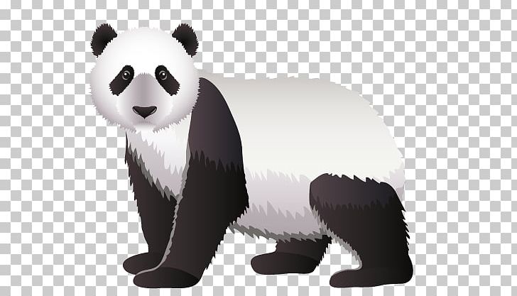 Red Panda PNG, Clipart, Animal, Animals, Baby Panda, Bear, Carnivoran Free PNG Download