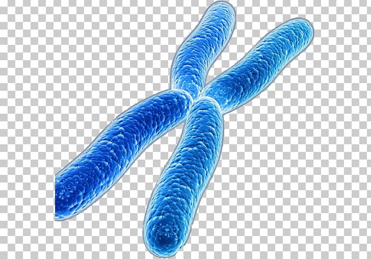 Galaxy Macau Chromosome Disease Genetics Medicine PNG, Clipart, Anaphase, Biology, Cell Nucleus, Chromosome, Cytogenetics Free PNG Download