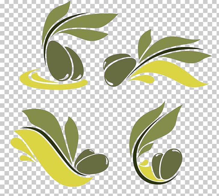 Olive Oil Logo Illustration PNG, Clipart, Background Green, Bottle, Branch, Branches, Cartoon Free PNG Download
