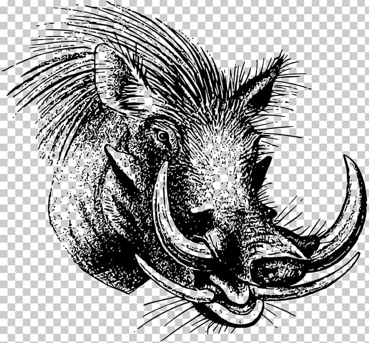 Common Warthog Wild Boar Drawing PNG, Clipart, Animal, Boar, Carnivoran, Common Warthog, Drawing Free PNG Download