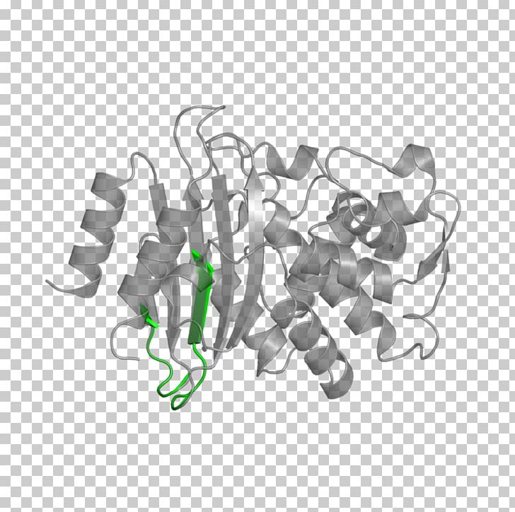 European Bioinformatics Institute Natriuretic Peptide Nuclear Receptor PNG, Clipart, Angle, Atrial Natriuretic Peptide, Beta, Bioinformatics, Blank Free PNG Download