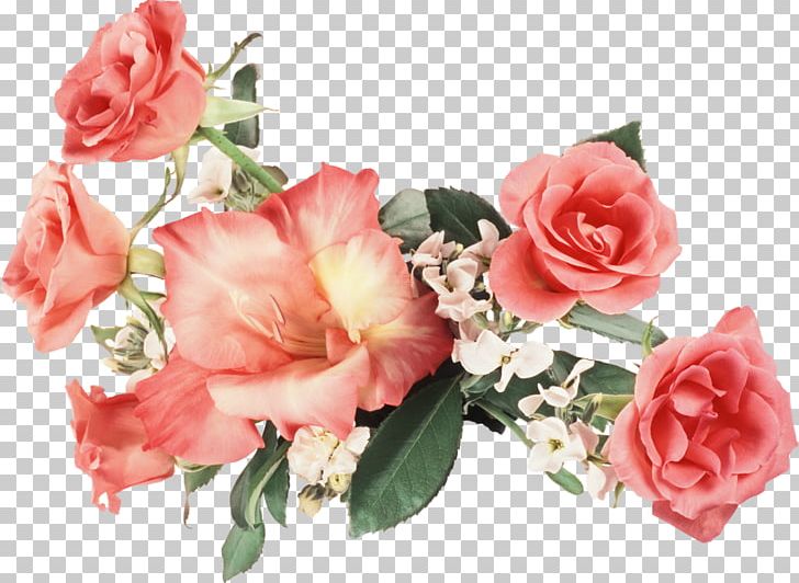 Flower Rose High-definition Television 1080p PNG, Clipart, 720p, 1080p, Artificial Flower, Cut Flowers, Floral Design Free PNG Download