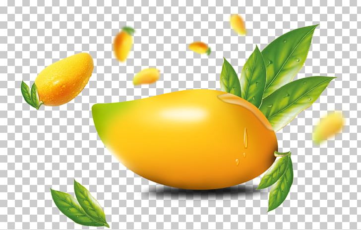 Lemon Mango PNG, Clipart, Adobe Illustrator, Auglis, Citrus, Coreldraw, Decorative Elements Free PNG Download