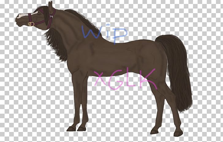 Mane Mustang Stallion Foal Mare PNG, Clipart, Boardsport, Colt, Colts Manufacturing Company, Florida Kraze Krush Soccer Club, Foal Free PNG Download