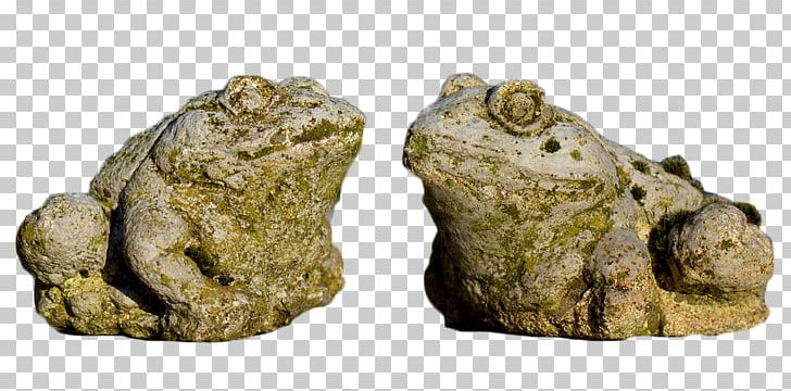 True Frog Toad PNG, Clipart, Amphibian, Artifact, Cartoon, Download, Facebook Like Free PNG Download