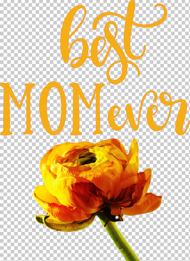 Mothers Day Best Mom Ever Mothers Day Quote PNG, Clipart, Best Mom Ever, Biology, Cut Flowers, Floral Design, Flower Free PNG Download