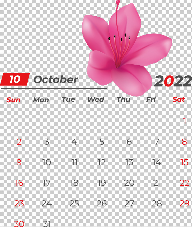 Calendar Line Font Flower Petal PNG, Clipart, Calendar, Flower, Geometry, Line, Mathematics Free PNG Download