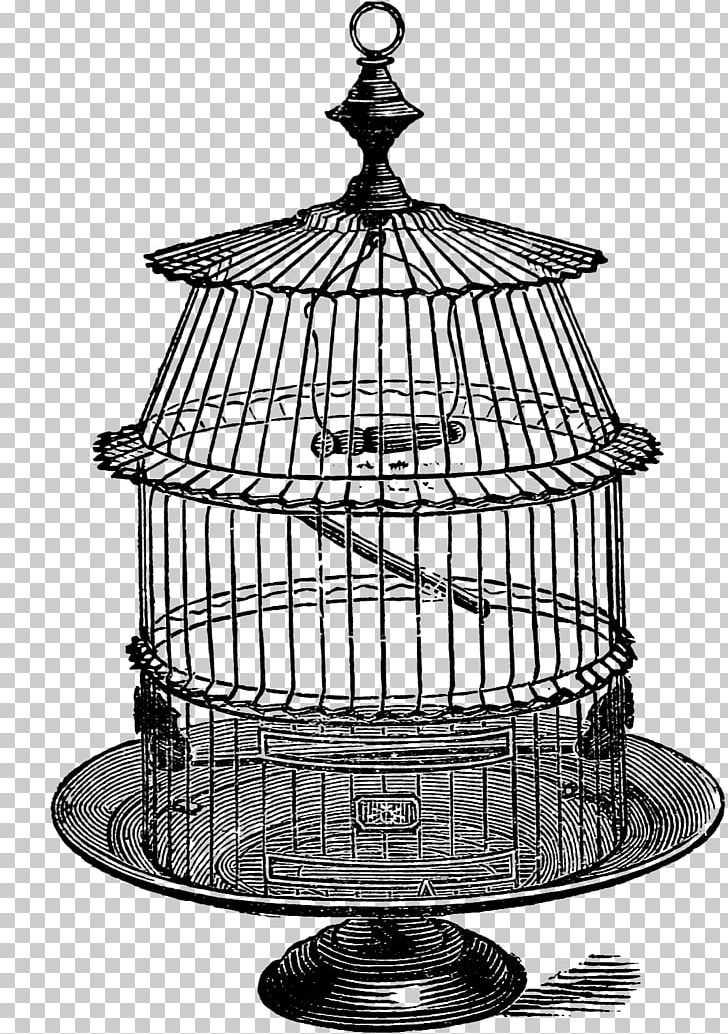 Birdcage Black And White Drawing PNG, Clipart, Art, Birdcage, Black And White, Cage, Desktop Wallpaper Free PNG Download