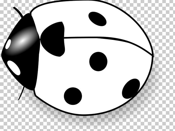 Ladybird PNG, Clipart, Black And White, Blog, Drawing, Free Content, Invertebrate Free PNG Download