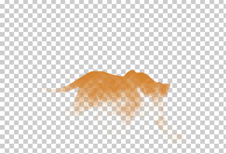 Whiskers Dog Snout Mammal Canidae PNG, Clipart, Animals, Canidae, Carnivoran, Cat Like Mammal, Dog Free PNG Download