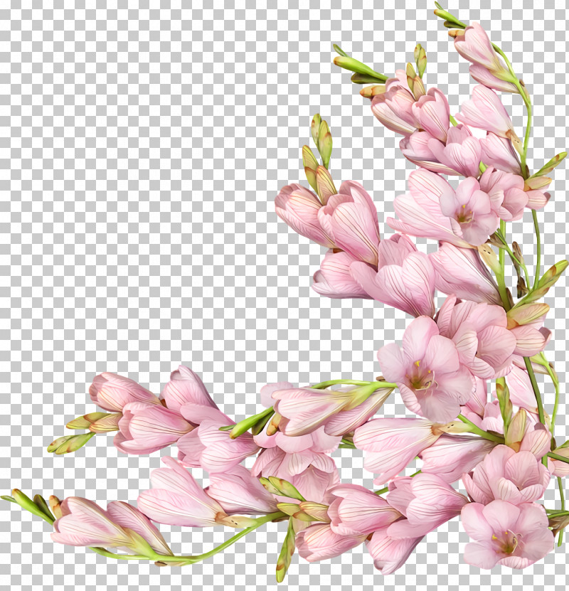 Spring Flower Spring Floral Flowers PNG, Clipart, Cut Flowers, Flower, Flowers, Fumaria, Lilac Free PNG Download
