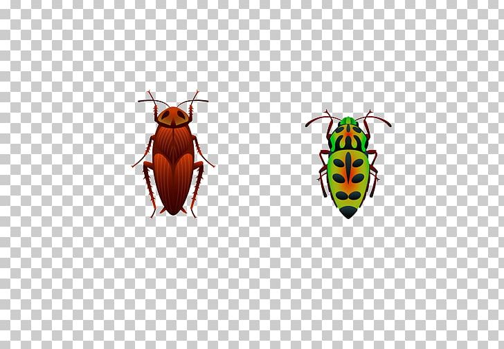 Insect Euclidean Computer File PNG, Clipart, Animal, Animals, Arthropod, Bee, Cartoon Free PNG Download