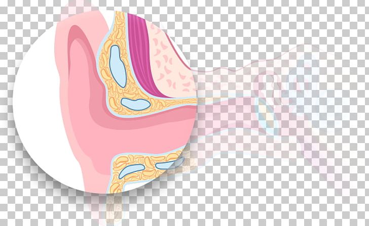 Pink M Ear PNG, Clipart, Ear, Finger, Jaw, Joint, Mouth Free PNG Download