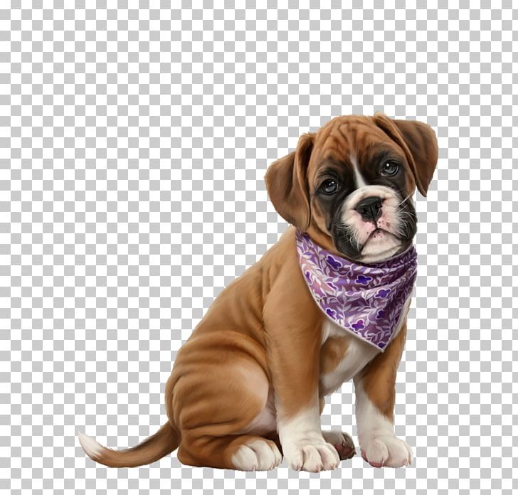 Puppy Dachshund Boxer Pet Sitting PNG, Clipart, Animal, Animals, Boxer, Carnivoran, Cat Free PNG Download