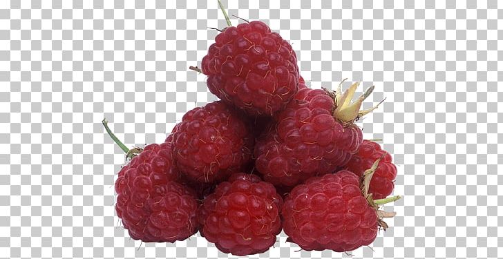 Red Raspberry PhotoScape PNG, Clipart, Berry, Food, Fruit, Fruit Nut, Frutti Di Bosco Free PNG Download