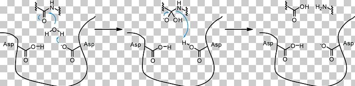 Aspartic Protease Aspartic Acid Proteolysis Active Site PNG, Clipart, Acid, Angle, Art, Aspartic Acid, Betasecretase 1 Free PNG Download