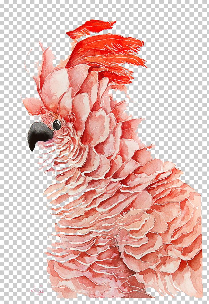 Bird Parrot Watercolor Painting Drawing PNG, Clipart, Angry, Animals, Architect, Art, Bird Free PNG Download