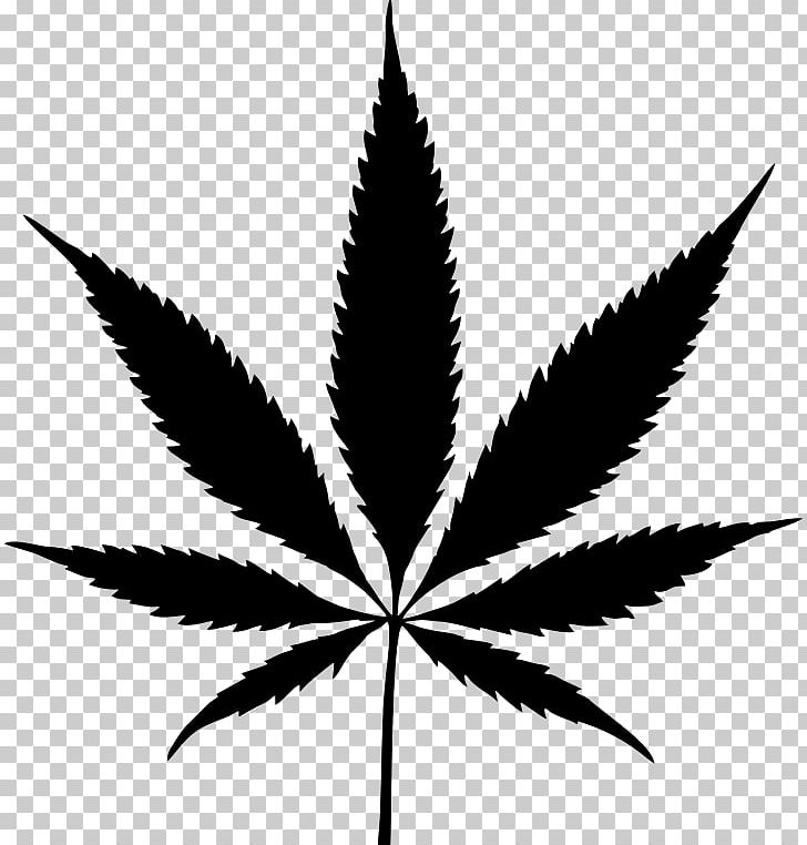 Cannabis Leaf Hashish PNG, Clipart, Black And White, Cannabis, Cannabis Sativa, Clip Art, Drawing Free PNG Download