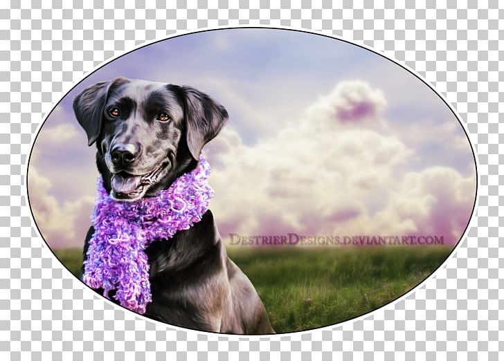 Dog Breed Puppy Sporting Group Snout PNG, Clipart, Animals, Breed, Dog, Dog Breed, Dog Like Mammal Free PNG Download