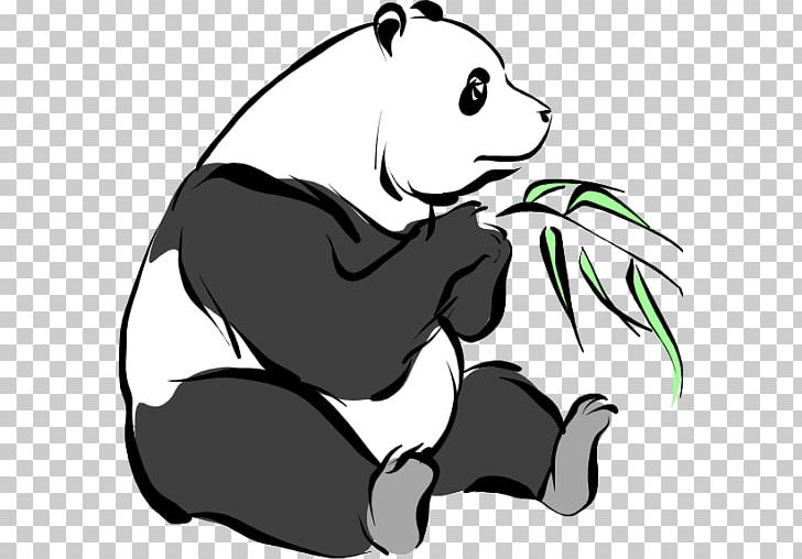 Giant Panda Red Panda T-shirt Farbiarnia Panda Pandas PNG, Clipart, Animal, Bear, Black, Black And White, Carnivoran Free PNG Download