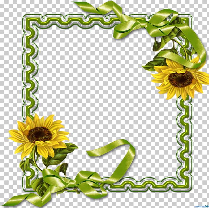 Paper Frames PNG, Clipart, Border Frames, Bordiura, Cut Flowers, Daisy Family, Encapsulated Postscript Free PNG Download