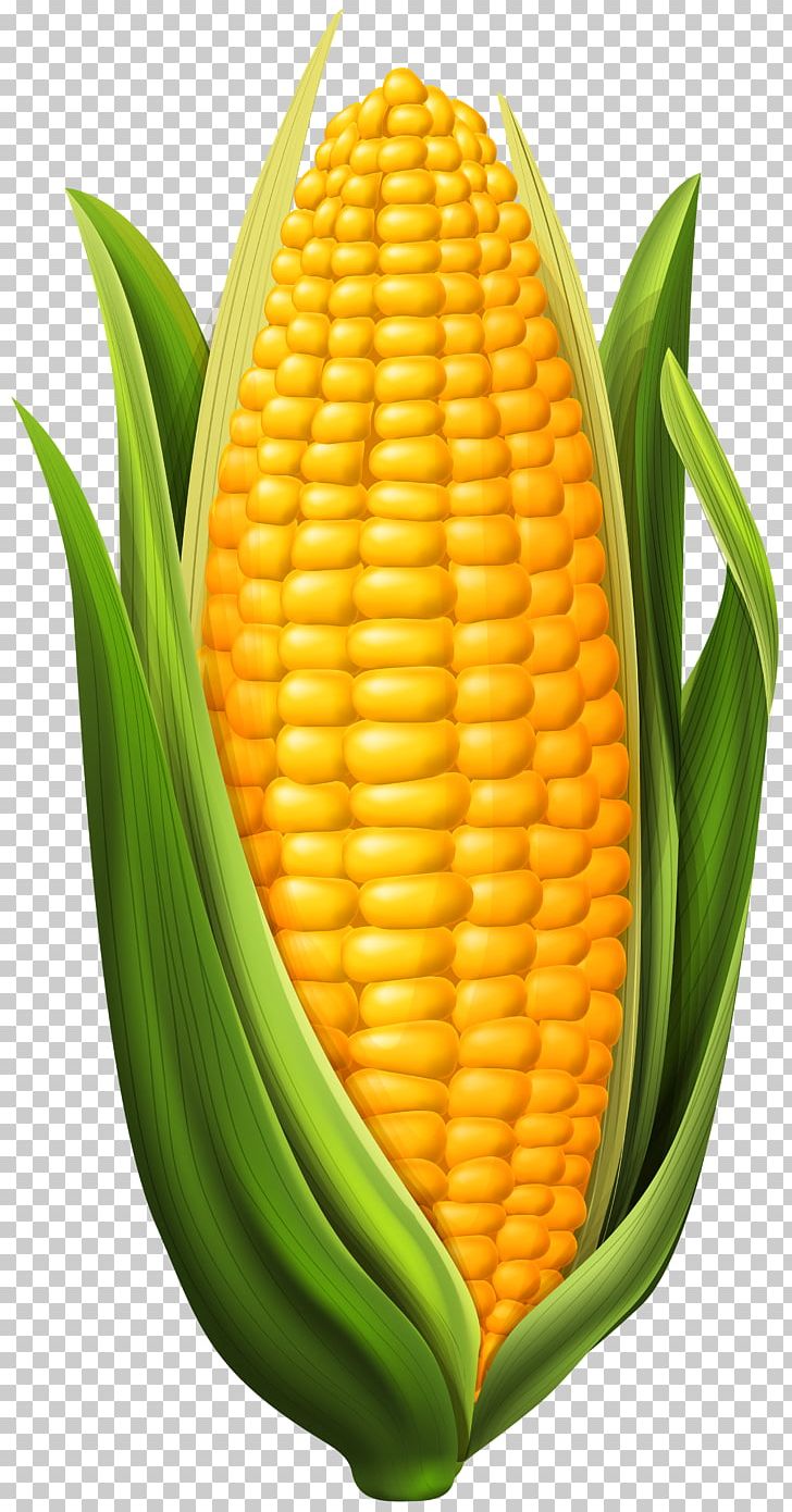 Corn On The Cob Maize PNG, Clipart, Candy Corn, Clipart, Clip Art, Commodity, Computer Icons Free PNG Download