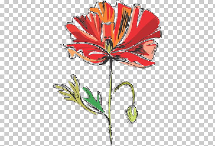 Cut Flowers Poppy Petal PNG, Clipart, Cut Flowers, Download, Flora, Floral Design, Flower Free PNG Download