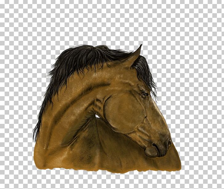 Horse Portrait Painting Art PNG, Clipart, Animals, Art, Bridle, Digital, Digital Art Free PNG Download