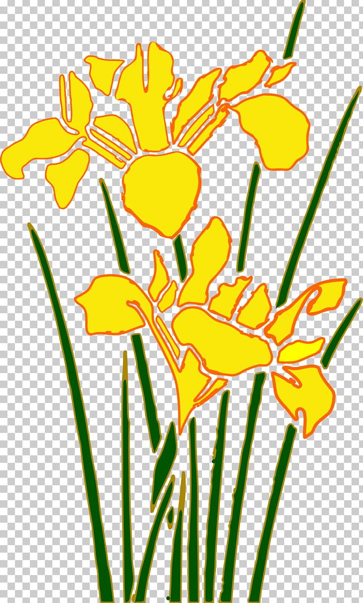 Herbaceous Plant Plant Stem Grass PNG, Clipart, Artwork, Black And White, Computer Icons, Cut Flowers, Daffodil Free PNG Download