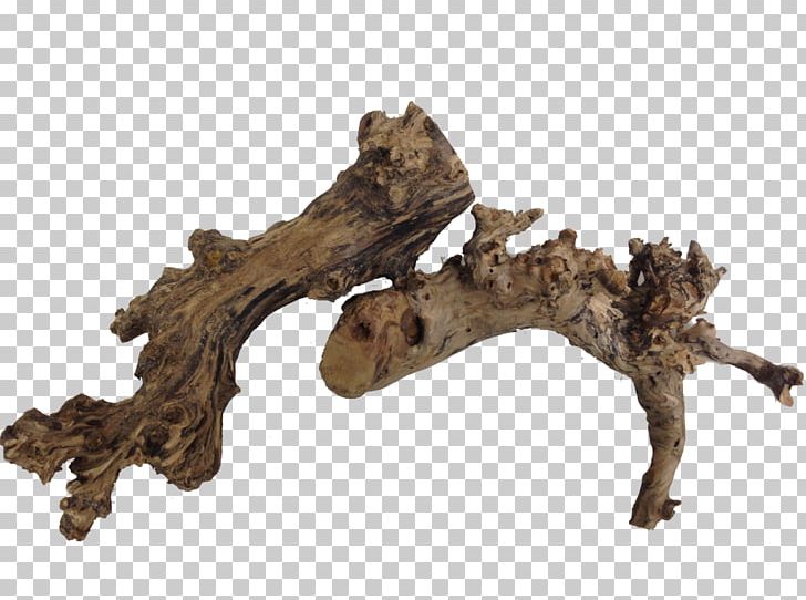 Driftwood Branching PNG, Clipart, Branch, Branching, Driftwood, Others, Terrarium Free PNG Download