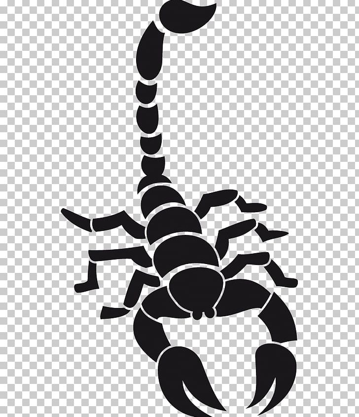 Abziehtattoo Stock Photography Sticker PNG, Clipart, Abziehtattoo, Airbrush, Akrep, Arachnid, Arthropod Free PNG Download