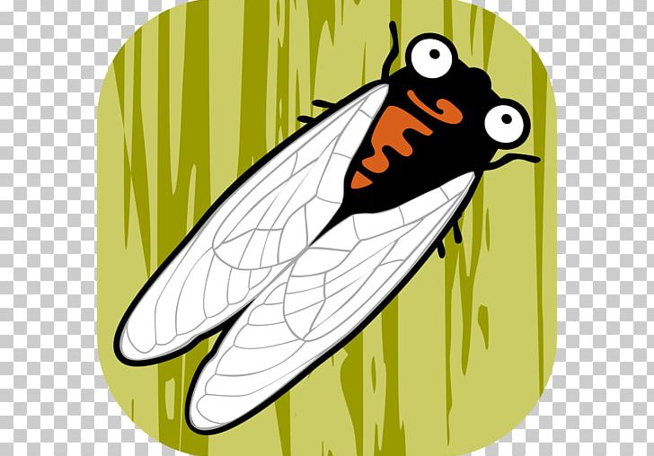 Day6 YouTube When You Love Someone Cicadidae PNG, Clipart, Alex, Artwork, Brush Footed Butterfly, Butterfly, Cartoon Free PNG Download
