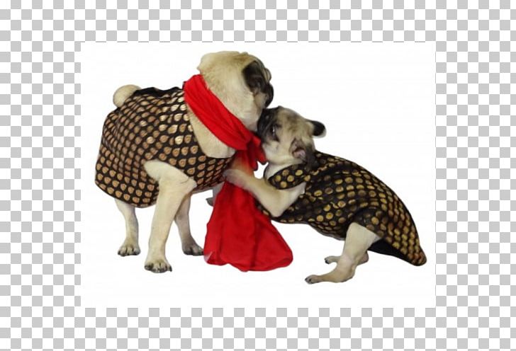 Dog Breed Pug Puppy Coat Dog Clothes PNG, Clipart, 200000, Animals, Bed Size, Breed, Carnivoran Free PNG Download