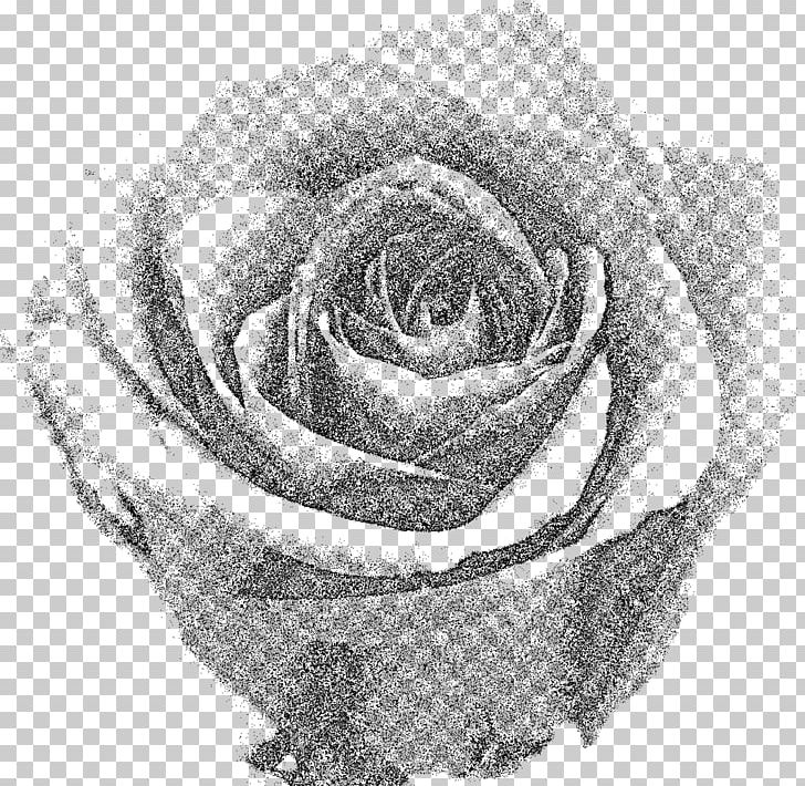 Rose PNG, Clipart, Artwork, Black And White, Black Rose, Cut Flowers, Drawing Free PNG Download