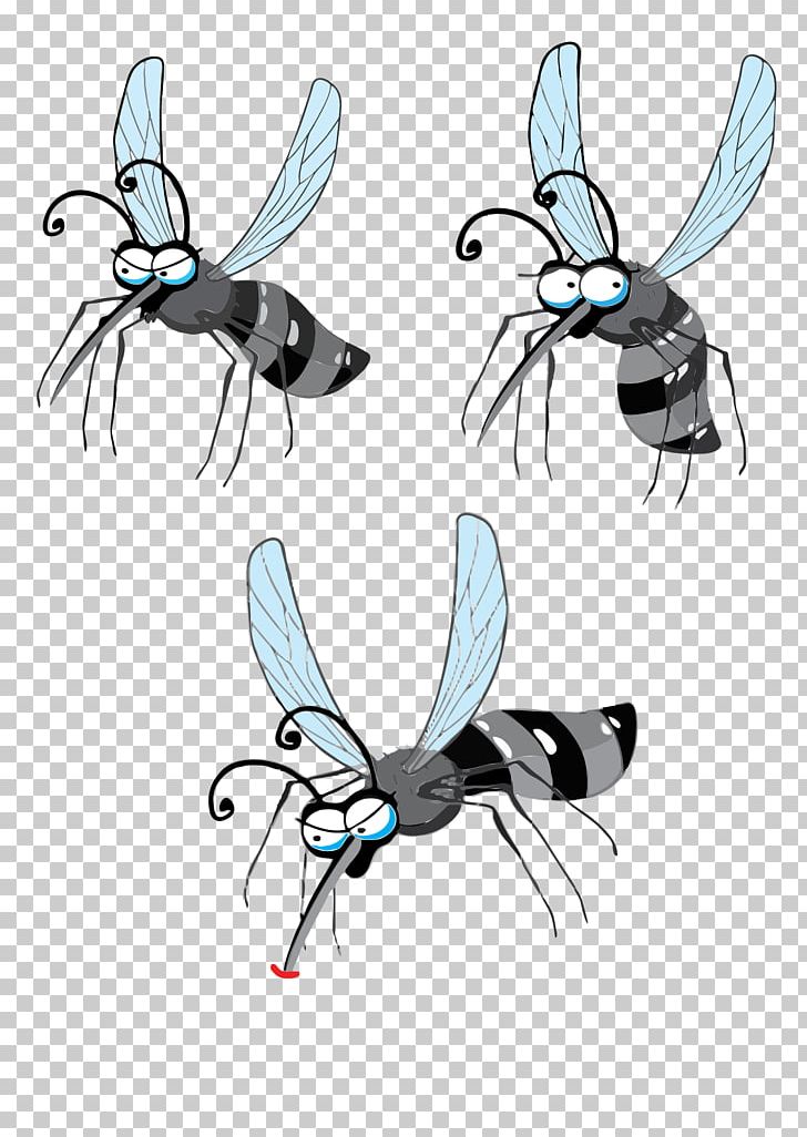 Zika Virus Gnat Dengue Zika Fever PNG, Clipart, Animal Bite, Arthropod, Dengue, Disease, Fly Free PNG Download