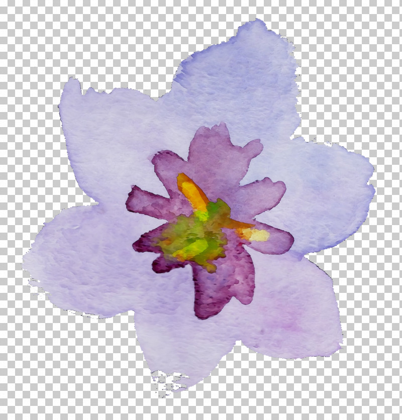 Violet Flower Petal Purple Watercolor Paint PNG, Clipart, Cattleya, Crocus, Drawing, Flower, Herbaceous Plant Free PNG Download