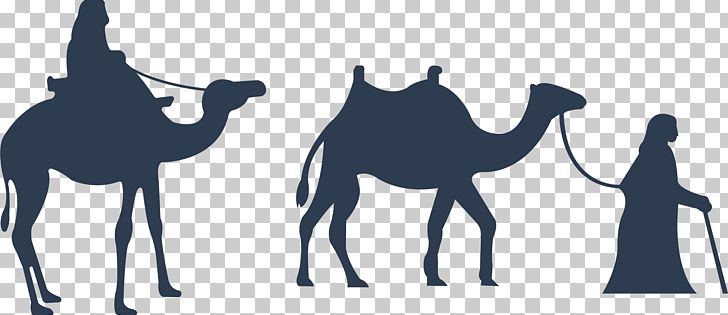 Bactrian Camel Dromedary Drawing Illustration PNG, Clipart, Adha, Animals, Arabian Camel, Art, Blue Abstract Free PNG Download