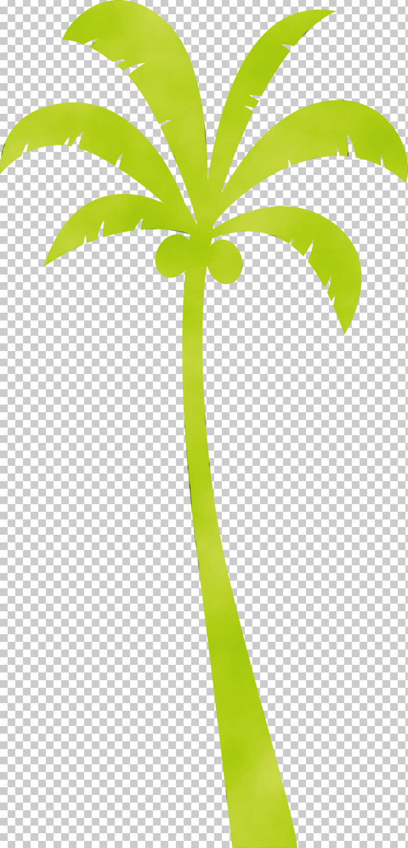 Palm Trees PNG, Clipart, Beach, Biology, Cartoon Tree, Green, Leaf Free PNG Download