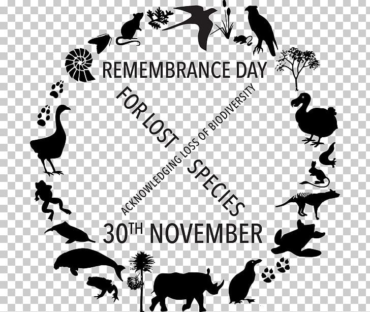 Holocene Extinction Armistice Day Pollution Poppy PNG, Clipart, Animal, Area, Armistice Day, Bird, Black Free PNG Download