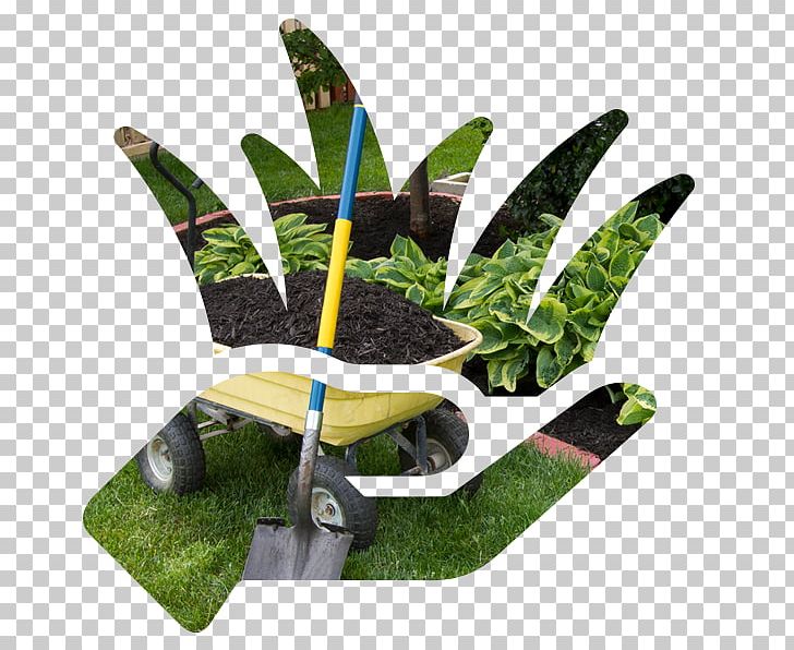 Leaf Flowerpot Tree PNG, Clipart, Flowerpot, Grass, Leaf, Moths And Butterflies, Plant Free PNG Download